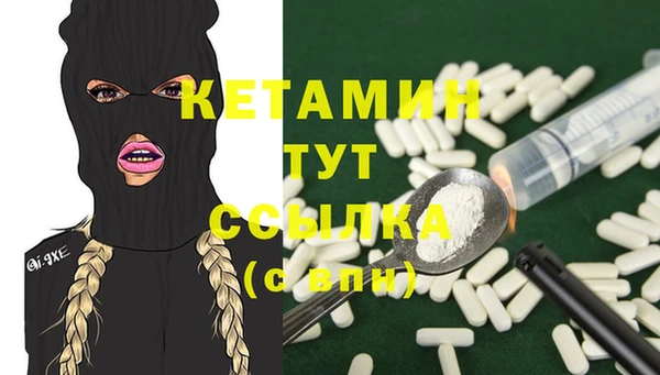 прущие грибы Мегион