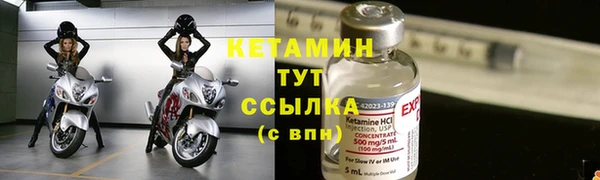 прущие грибы Мегион
