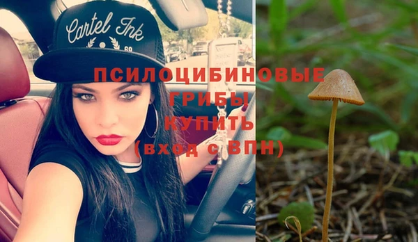 MDMA Premium VHQ Медногорск