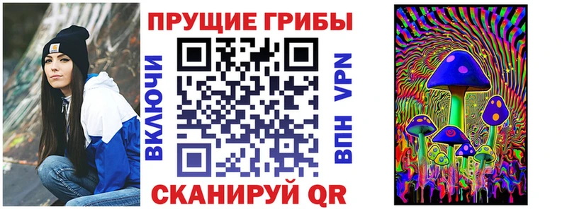 блэк спрут tor  Данилов  Галлюциногенные грибы Psilocybine cubensis  что такое  