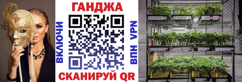 Бошки марихуана MAZAR  купить наркотики сайты  Данилов 